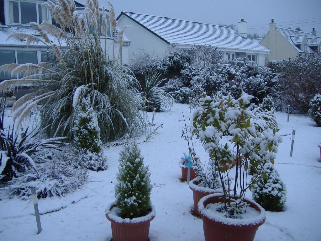 Springfield B&B Boreland of Colvend Extérieur photo