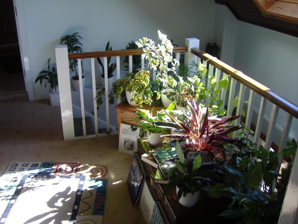 Springfield B&B Boreland of Colvend Extérieur photo